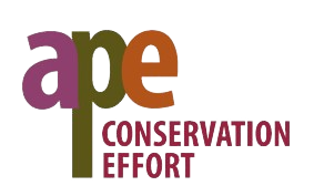 The logo for the organization is the word ape, and directly under are the words "Conservation Effort"