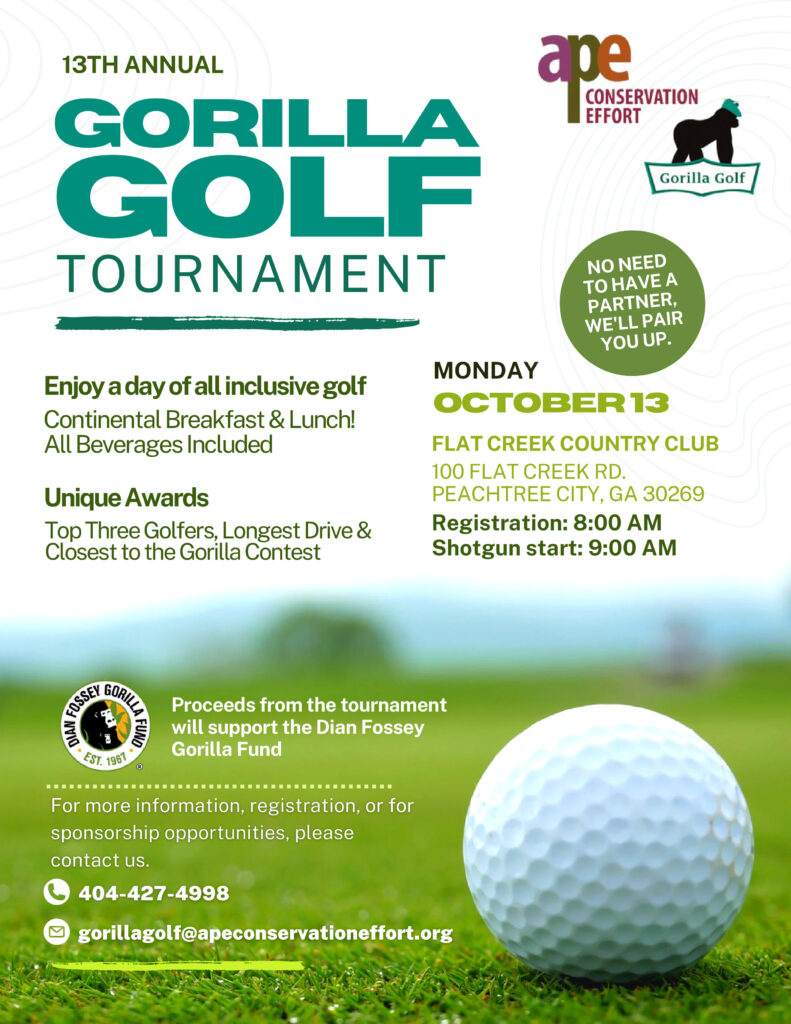 A flyer that says 'Gorilla Golf' describes the details of the 2025 Ape Conservation effort Gorilla Golf Tournament, which will take place on Monday, October 13 2025.